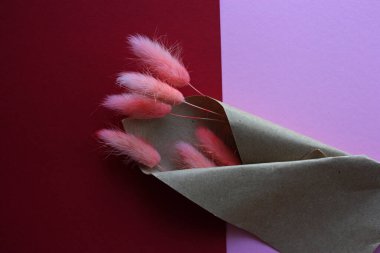 Kuru pembe lagurus, Lagurus ovatus, pembe ve kırmızı arka planda buket. İç dekorasyon fabrikası