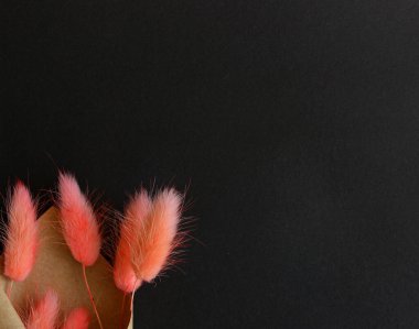 Siyah arka planda kuru pembe lagurus ovatus buketi. Üst manzara, düz uzanma.