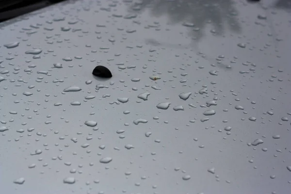 Water Drops Silver Car Hood Autumn Rain — Stock Photo, Image