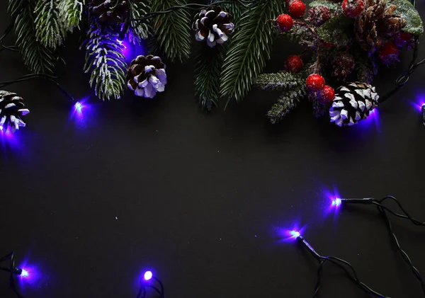 Festive holiday composition of snow covered evergreen branches and pine cones, red little berries and blue illumination on black background. Greeting card layout. Top view. Flat lay. Christmas.