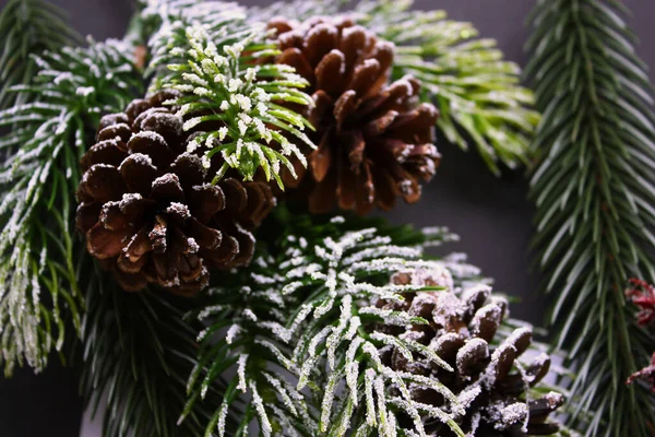 Branches Sapin Cônes Conifères Avec Neige Fond Noir Ferme Vue — Photo