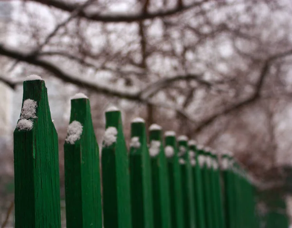 Old Green Wooden Fence Thin Layer Fluffy Snow — Stock Photo, Image