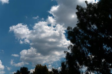 Mavi gökyüzü ve ağaç siluetine karşı bulut oluşumu