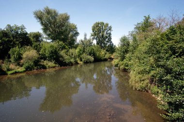 River course with reflection of riparian woodland