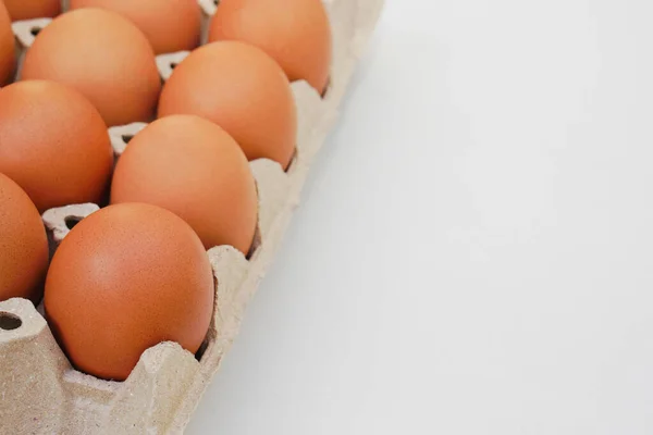 Chicken raw eggs in paper egg panel or in an egg stall on white background.