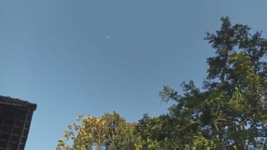 Ağaçlar, evin çatısındaki rüzgarla savruluyor. Mavi bir gökyüzü ve küçük bir yarım ay atmosferi var.