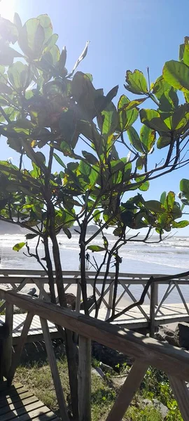 Salida Del Sol Playa — Foto de Stock