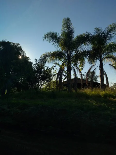 Hermosa Vista Naturaleza — Foto de Stock