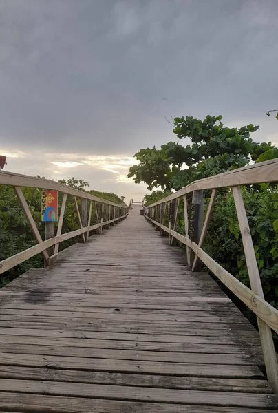 Houten Brug Rivier Het Park — Stockfoto