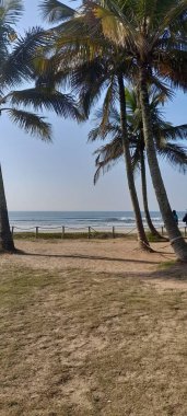 Güzel deniz manzarası