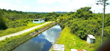 Costa ecuatoriana 'daki Hacienda de mangos, Cerecita