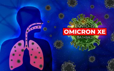 Salgılar yoluyla koronavirüsün akciğerlerin iç organlarına yayılması. Coronavirus (COVID-19), 3D oluşturma.