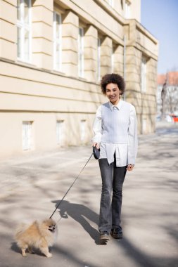 full length of cheerful african american woman walking with pomeranian dog