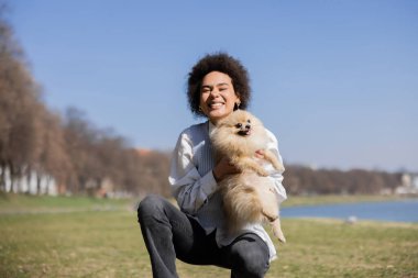 Mutlu Afro-Amerikan kadını Pomeranian köpeğini tutuyor