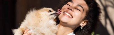 Pomeranian köpeği Mutlu Afro-Amerikan kadınlarının yanaklarını yalıyor, afiş