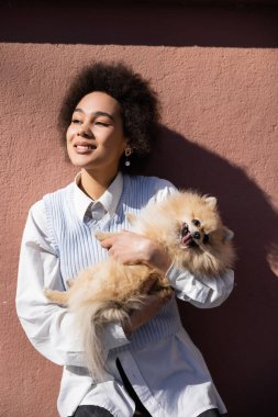 Mavi yelekli mutlu Afro-Amerikan kadını Pomeranya tükürüğünü tutuyor 