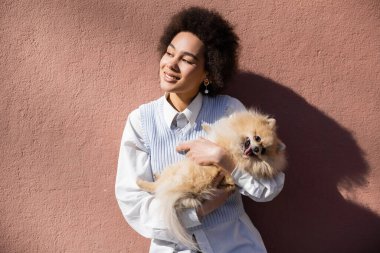 Mavi yelekli neşeli Afrikalı Amerikalı kadın Pomeranian tükürüğünü duvarın yanında tutuyor.