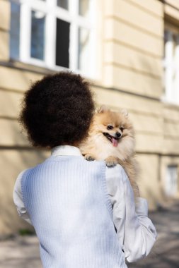 back view of curly african american woman in vest holding pomeranian dog