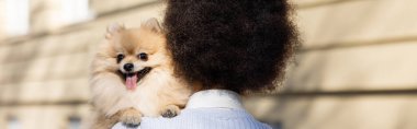 back view of curly african american woman holding pomeranian dog, banner