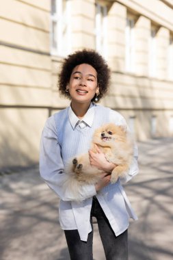 happy african american woman in blue vest holding pomeranian dog on street