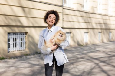 Pozitif Afro-Amerikalı mavi yelekli kadın Pomeranian köpeğini sokakta tutuyor