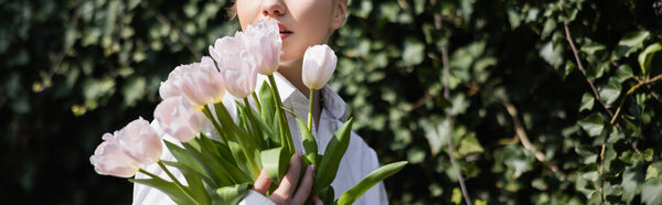partial view of woman with bouquet of tulips near blurred green plants, banner