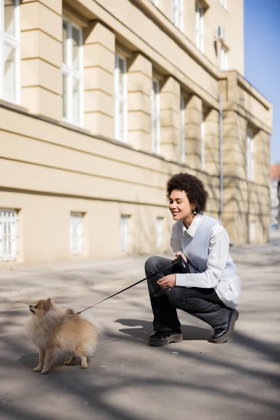 Pleine longueur de souriante femme afro-américaine marche avec chien poméranien — Photo de stock