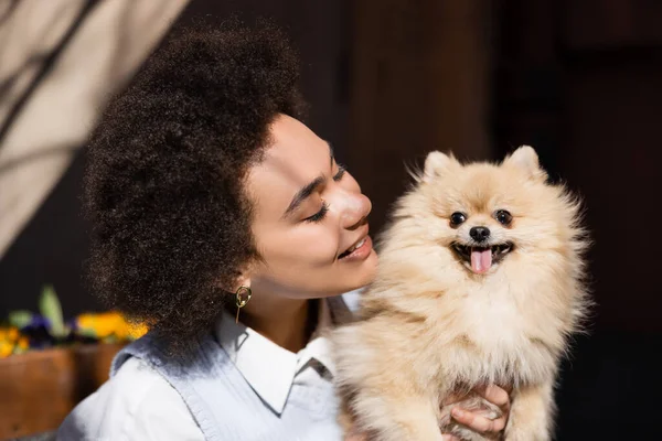 Allegra donna afroamericana guardando spitz pomerania — Foto stock