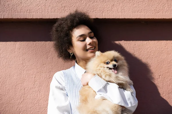 Alegre afroamericana mujer en azul chaleco celebración en brazos pomeranian spitz cerca de la pared - foto de stock