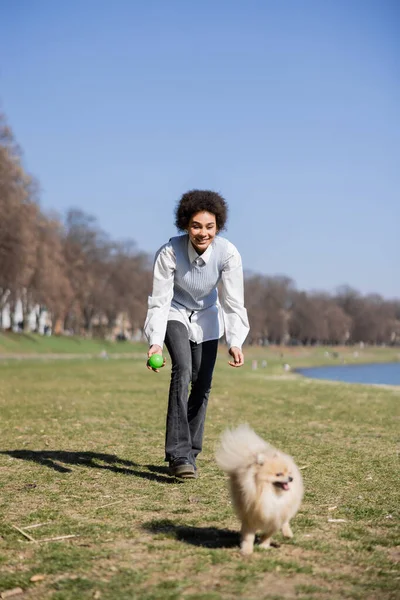 Full length of cheerful african american woman in blue vest playing with pomeranian dog in park — Photo de stock