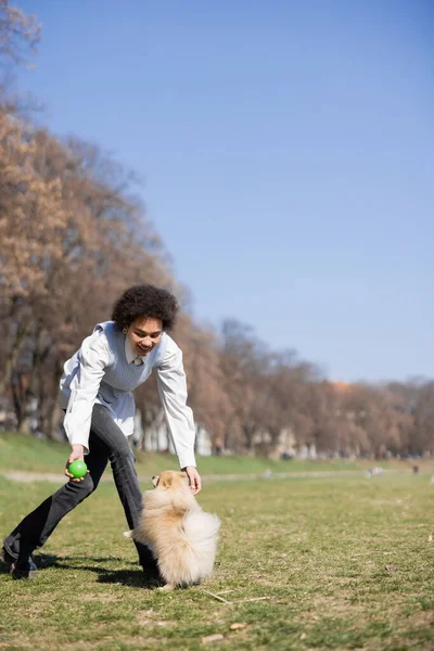 Smiling african american woman in shirt and vest playing with pomeranian dog in park — стоковое фото