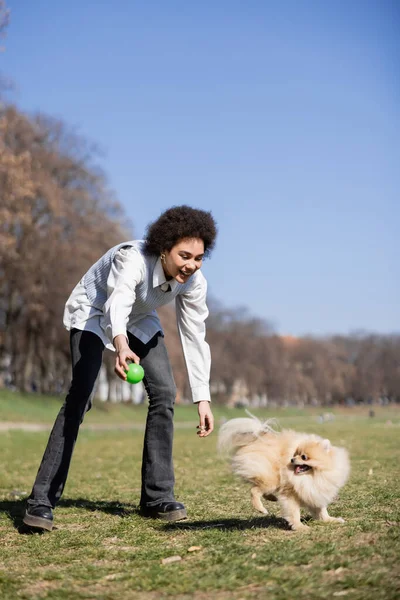 Joyful african american woman in blue vest playing with pomeranian dog in park — стоковое фото