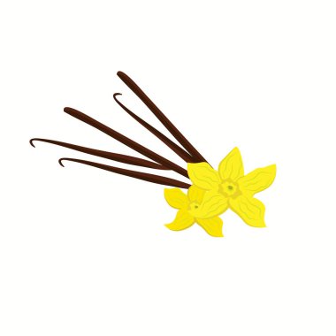 Beyaz arkaplanda vanilya tasviri.