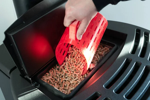 Topaklara yakın çekim, siyah evcil topak, el granülleri ile doldurulan adam kırmızı 3 boyutlu baskılı fincan.