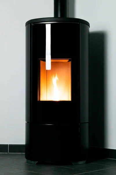 Modern domestic pellet stove, granules stove with flames