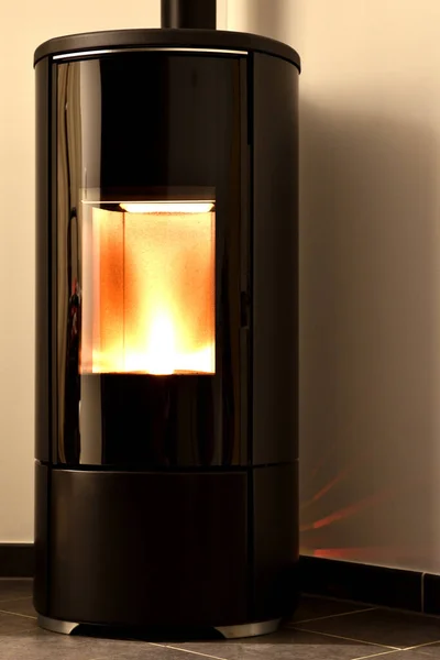 Modern domestic pellet stove, granules stove with flames