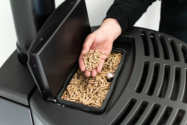 Pellet stove, man holding granules in his hand above a modern black stove