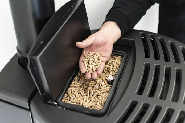 Pellet stove, man holding granules in his hand above a modern black stove