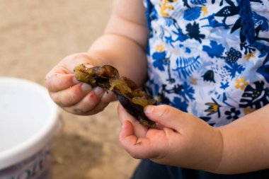 close up of a baby's hands opening a fruit, outside activity, fine motor skills development