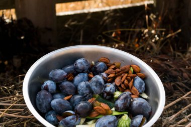 Composting : kitchen waste recycling in composter, sorting and bio fertilizer