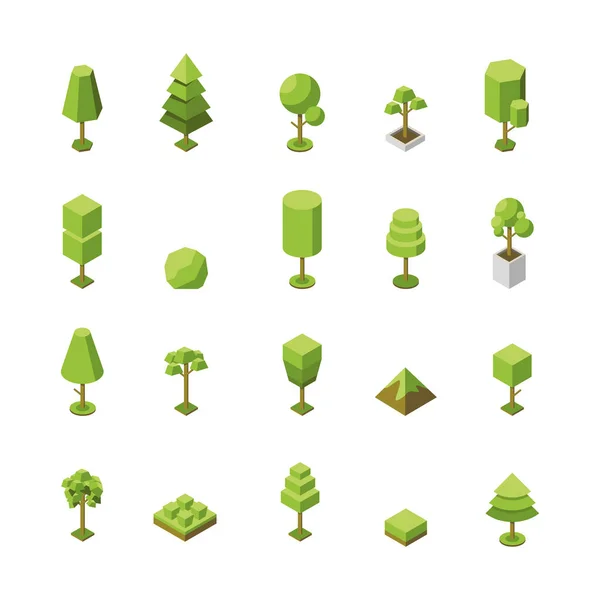Conjunto Vetorial Ícones Isométricos Árvores Coleção Objetos Botânicos Naturais Ilustração —  Vetores de Stock