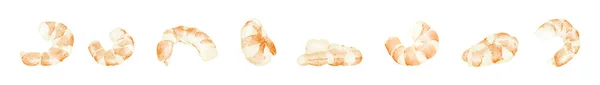 Illustration Vectorielle Réaliste Des Crevettes Cuites Fruits Mer Appétissants Dessinés — Image vectorielle