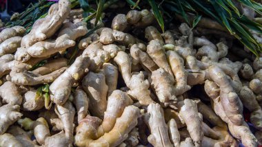 Sepet zencefille doluydu.