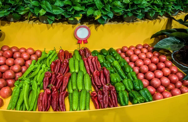 Die Regale Waren Gut Gefüllt Mit Paprika Und Tomaten — Stockfoto