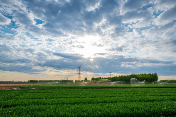 Modern tarım sulama teknolojisi ve fıskiye sulama