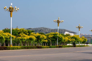 Yeşil ağaçlarla çevrili bir bina.