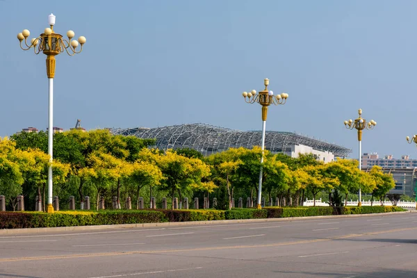 Yeşil ağaçlarla çevrili bir bina.