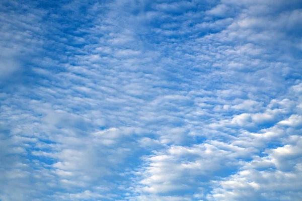 Ciel Bleu Les Nuages Blancs — Photo