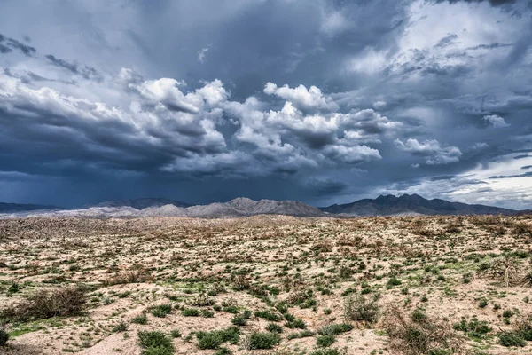 Une Vue Sur Désert Sonoran Près Phoenix Arizona — Photo