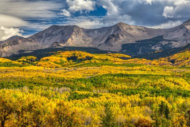 Colorado 'daki Girdap Butte yakınlarında sonbahar kavak rengi